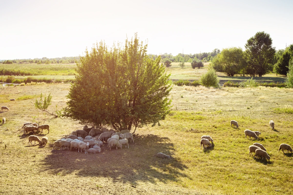 Évaluer un terrain agricole : Les outils indispensables pour ne pas se tromper