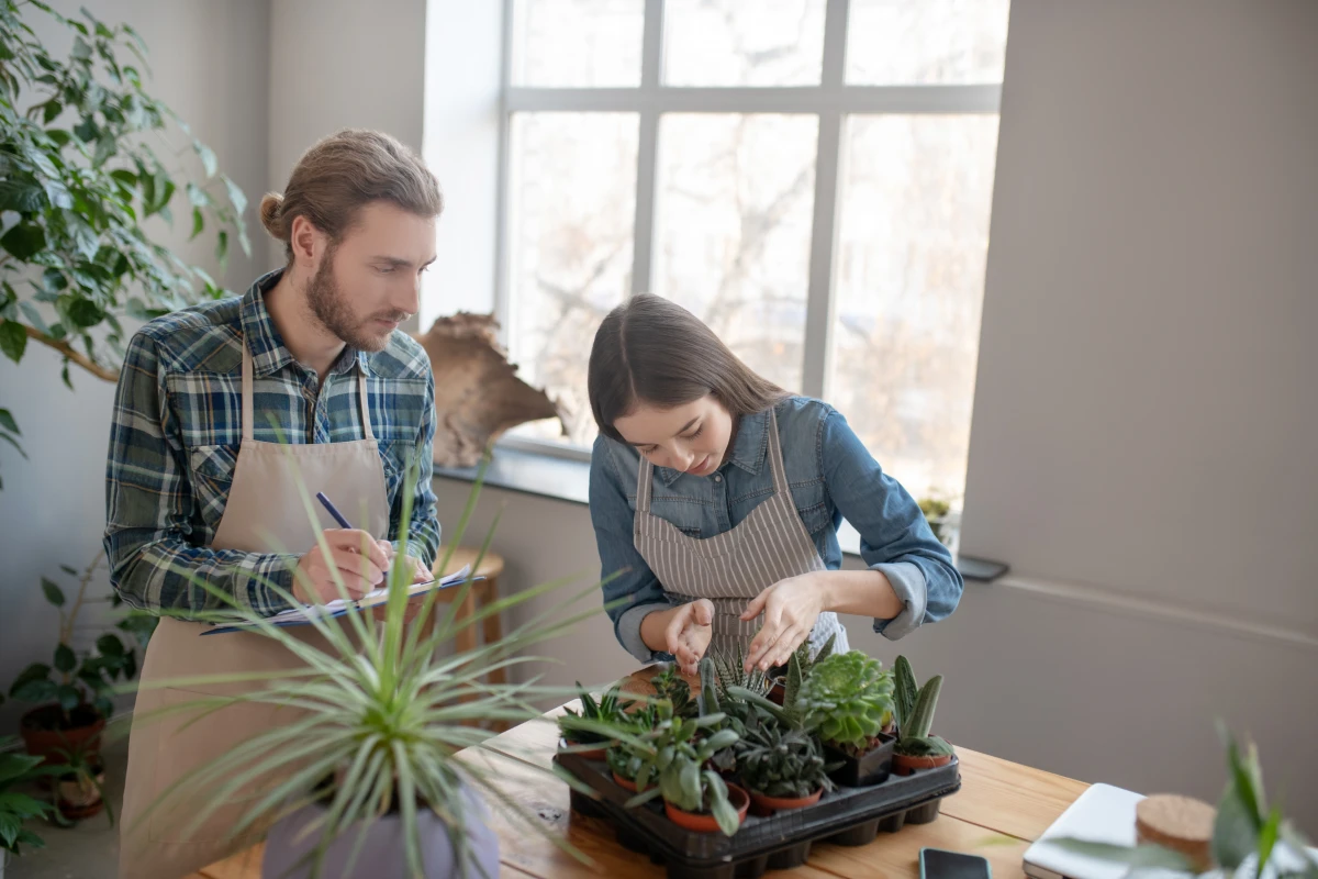 Maison individuelle vs Condo : Quel choix pour votre avenir immobilier ?