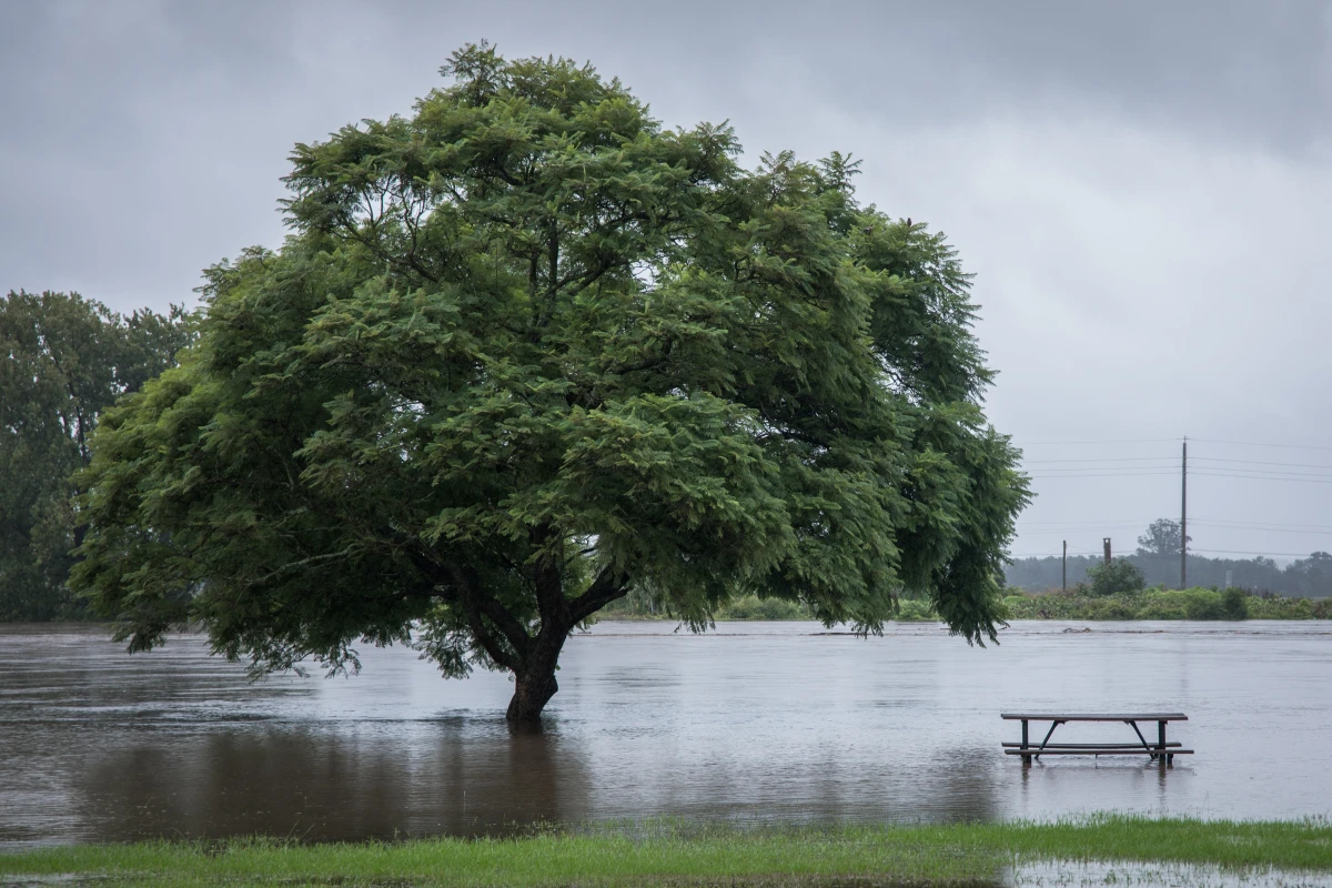 Investir en zone inondable : Risques et opportunités d'un marché en eaux troubles